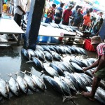 Photography - Stunning Sri Lanka