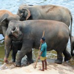 Photography - Stunning Sri Lanka