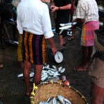 Photography - Stunning Sri Lanka