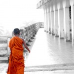 Photography - Stunning Sri Lanka