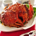 Photography - Food